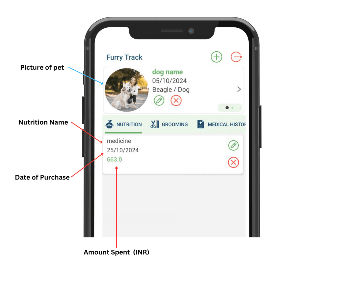 Nutrition Expense Mockup